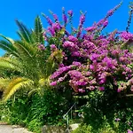 Casa de Férias Quinta De Ribas *