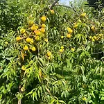 Σπίτι διακοπών Quinta De Ribas *
