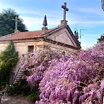 Quinta De Ribas *