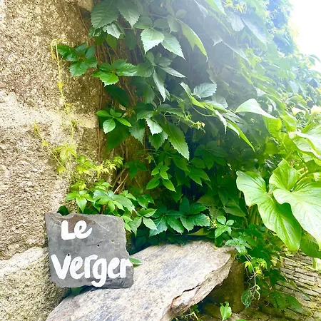 Hébergement de vacances Quinta De Ribas Amarante