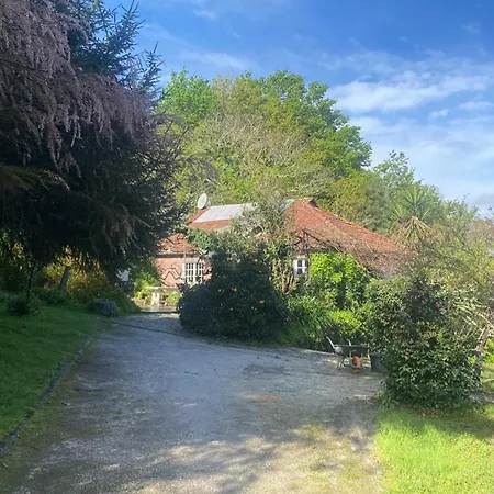 Quinta De Ribas Amarante