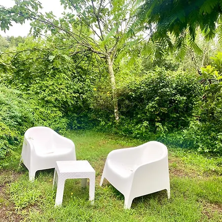 Quinta De Ribas Casa de Férias Amarante