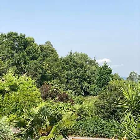Hébergement de vacances Quinta De Ribas Amarante