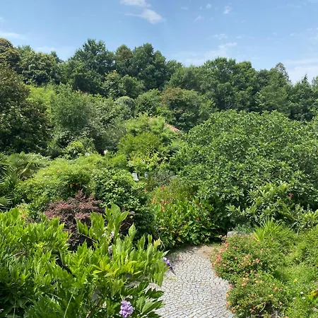 Quinta De Ribas * Amarante