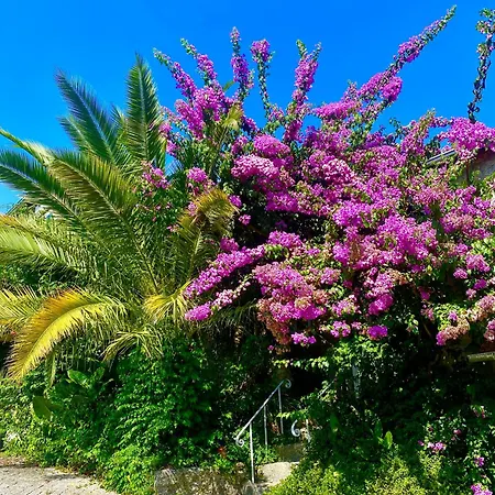 Hébergement de vacances Quinta De Ribas *