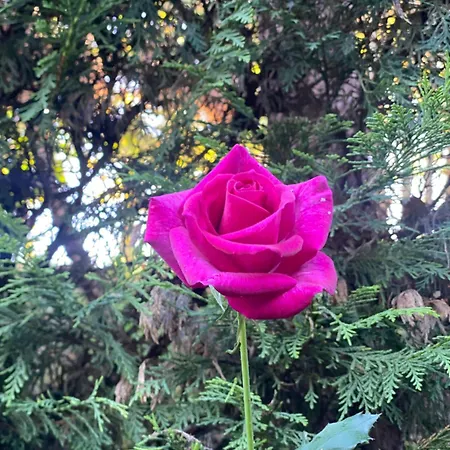 Casa de Férias Quinta De Ribas