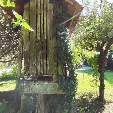 Casa de Férias Quinta De Ribas Amarante