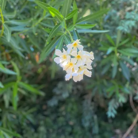 Quinta De Ribas Casa de Férias