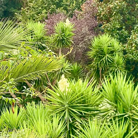 Hébergement de vacances Quinta De Ribas *