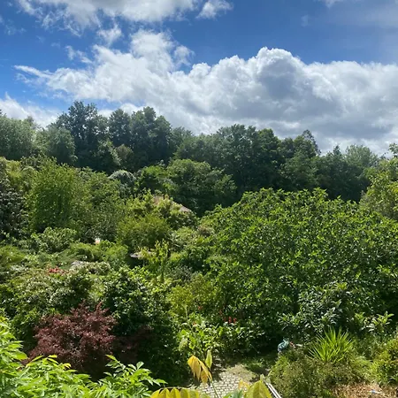 Quinta De Ribas Casa de Férias Amarante