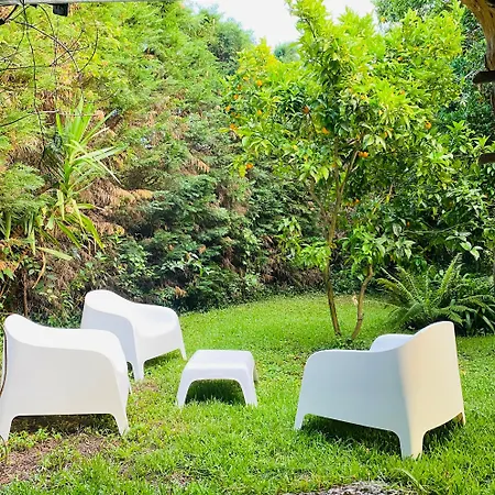 Quinta De Ribas Amarante