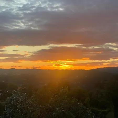 Quinta De Ribas * 아마란테