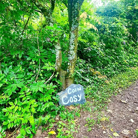 Quinta De Ribas Amarante