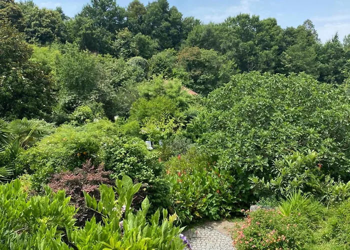 Quinta De Ribas * Амаранте