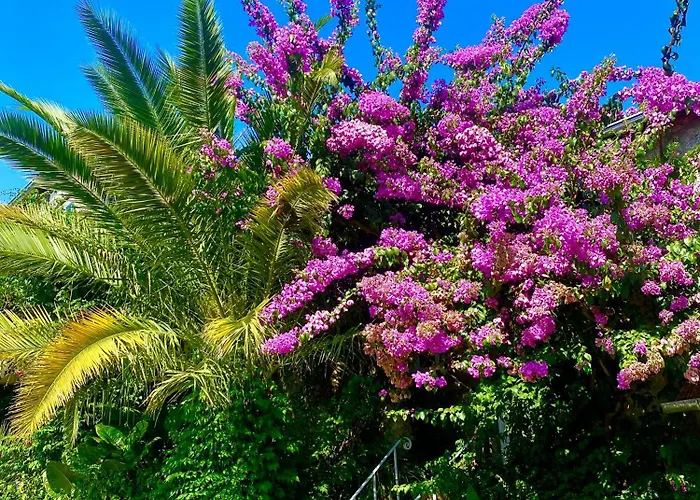 Сasa de vacaciones Quinta De Ribas *