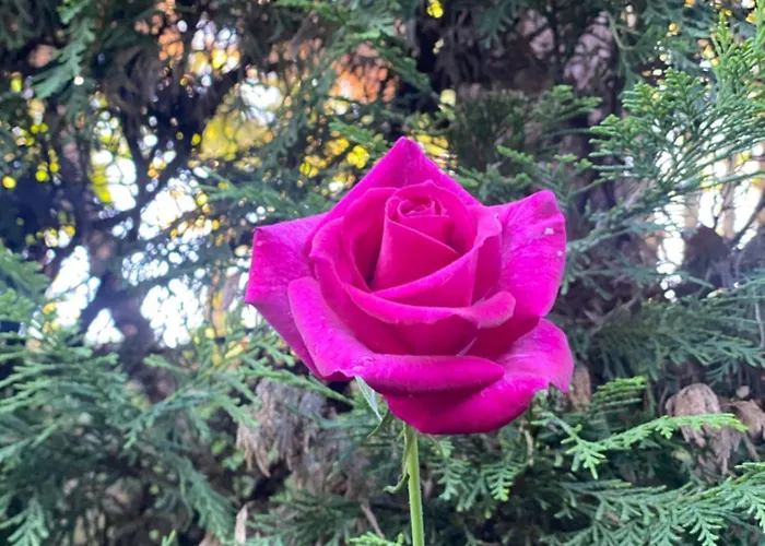 Сasa de vacaciones Quinta De Ribas