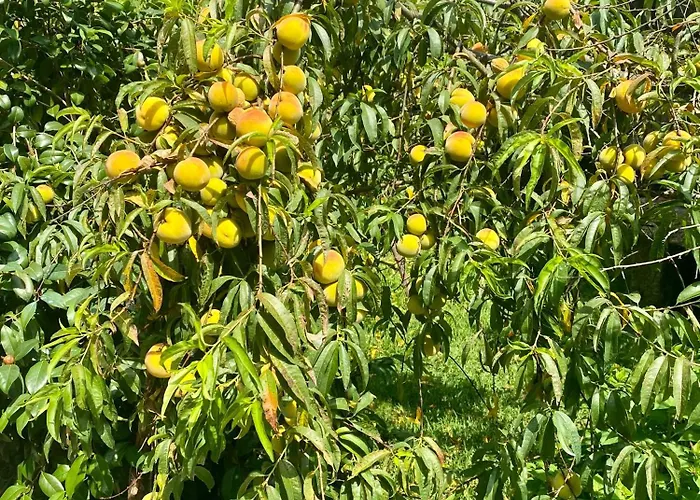 펜션 Quinta De Ribas *