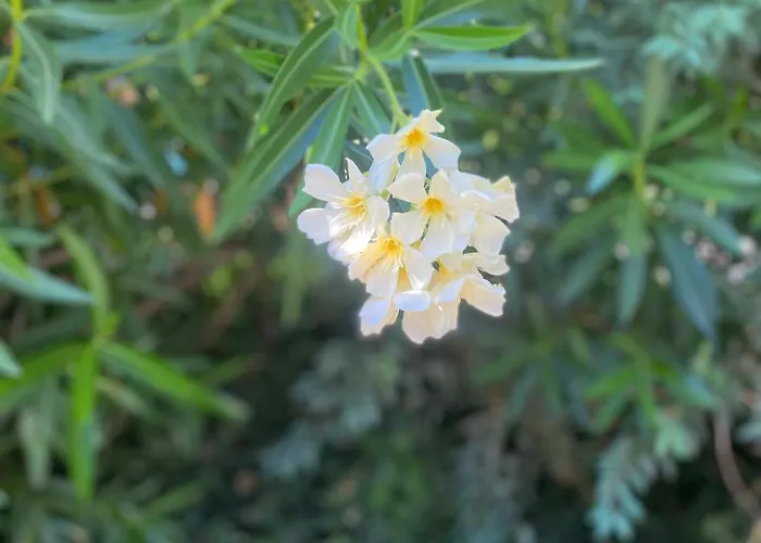 Quinta De Ribas 펜션