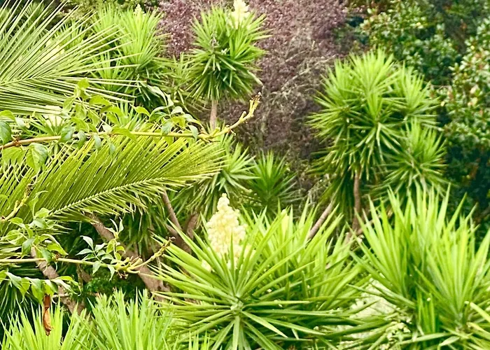 펜션 Quinta De Ribas *