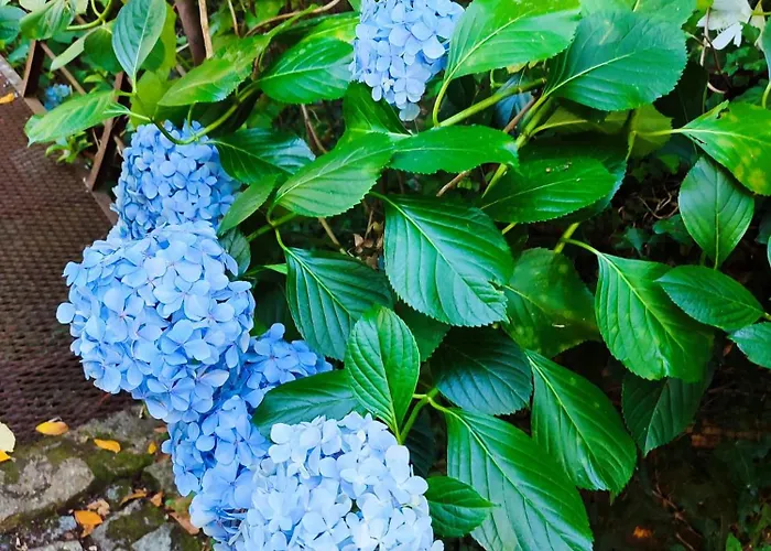 Сasa de vacaciones Quinta De Ribas