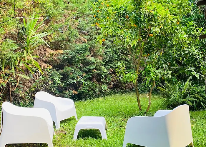 Quinta De Ribas Amarante