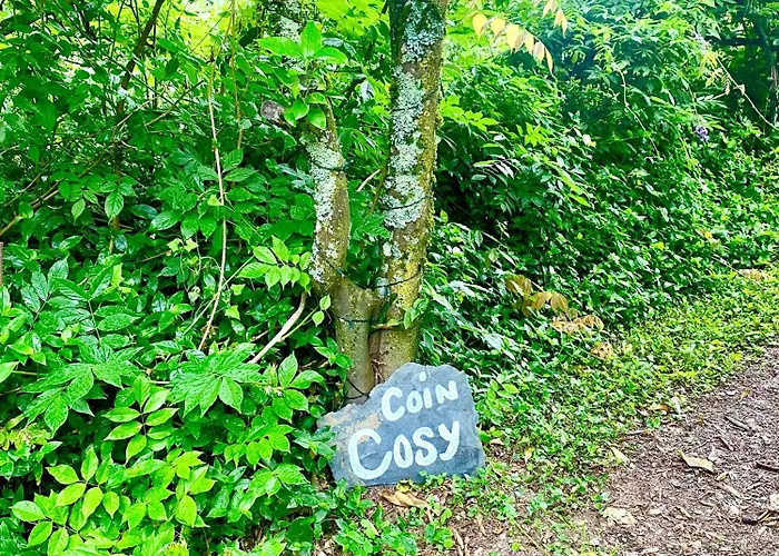 Quinta De Ribas 아마란테